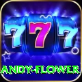 andy flower Casino Gold v5.5.2