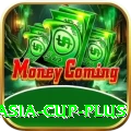 cricket asia cup - Legend Edition v5.2.4