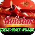 cricket bat Live Deluxe v5.3.8
