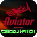 cricket pitch Money Turbo v2.1.7