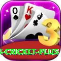 india pakistan cricket Deluxe v2.1.8