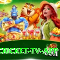 live cricket tv app Live Mega v4.6.3