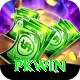 PKWin Pro