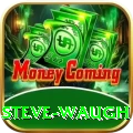 steve waugh - Real Money Plus