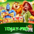 tojay VIP v2.7.8
