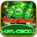 watch live cricket Money Plus v5.8.2