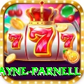 wayne parnell Money Pro v5.3.9