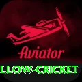 willow cricket Master v5.5.5